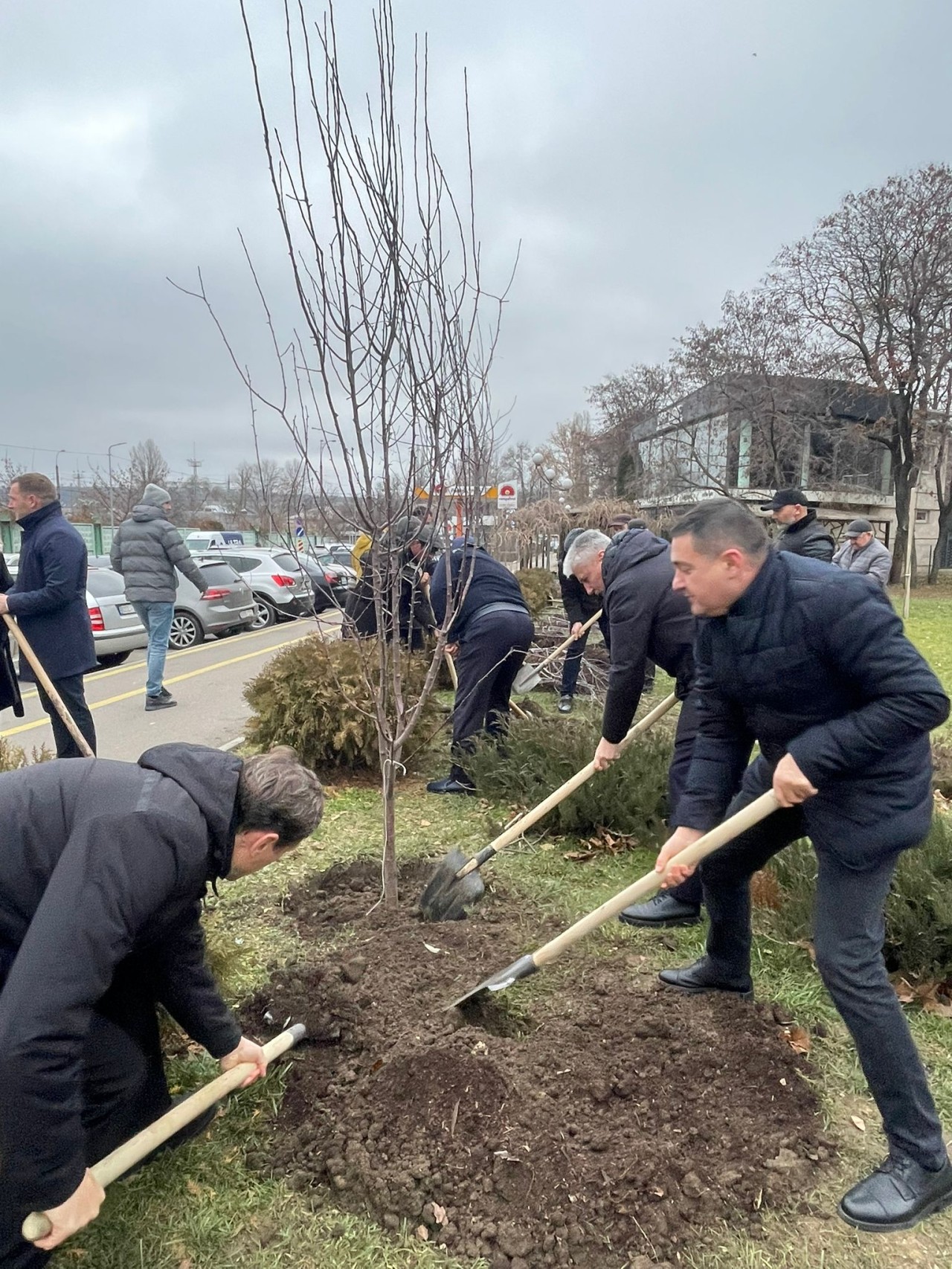 Kişineuda Azərbaycan-Moldova dostluq xiyabanı salınıb - FOTOLAR